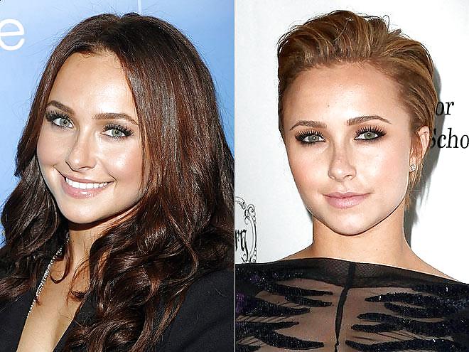 Hayden Panettiere mega collection #711471
