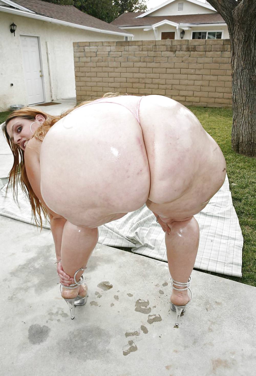 Bbw chubby supersize big tits huge ass women 3
 #13397774