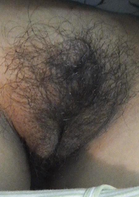 Hairy Indian Pussy  #14934814