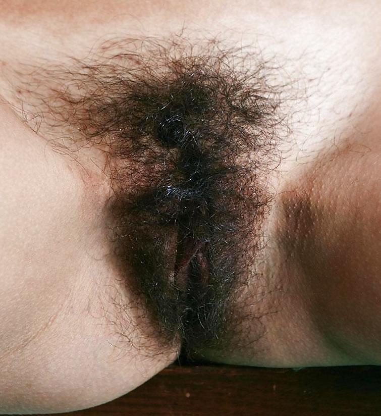 Hairy Indian Pussy  #14934863