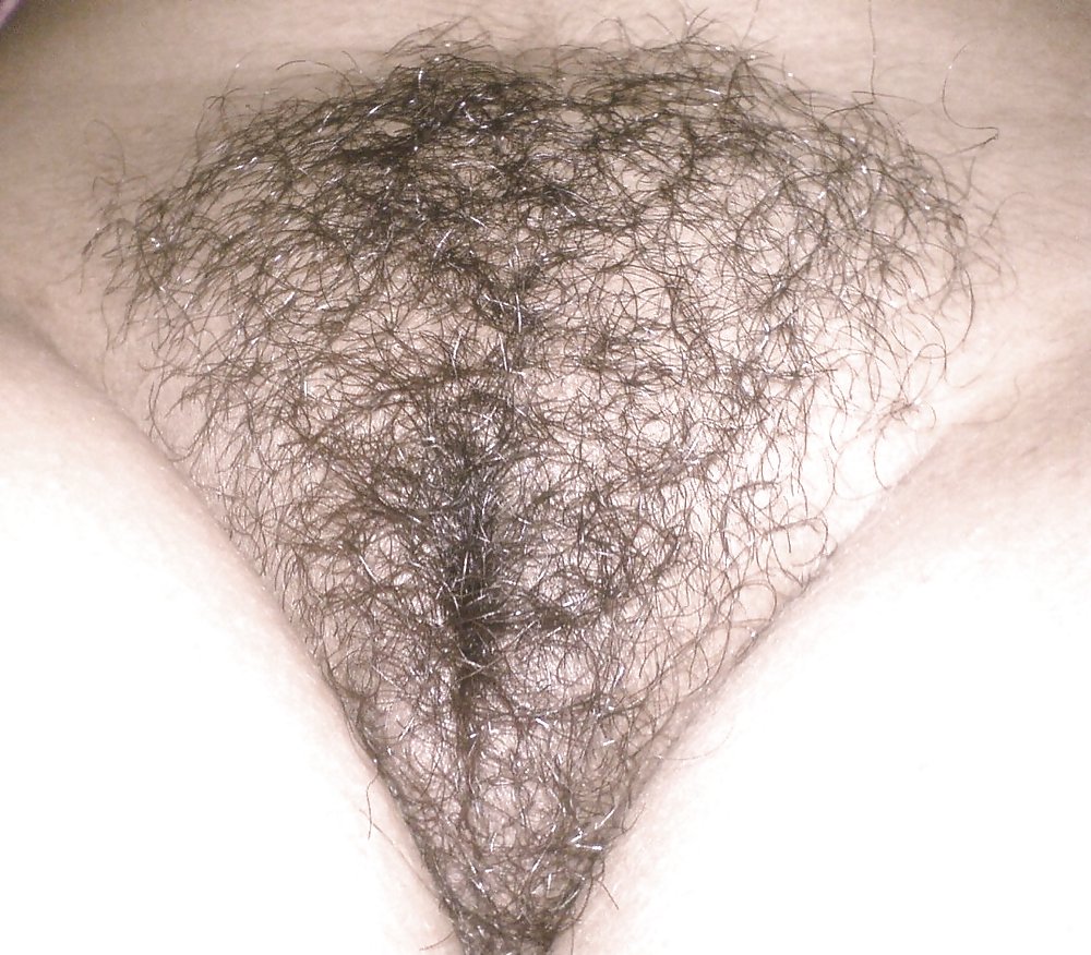 Hairy Indian Pussy  #14934873
