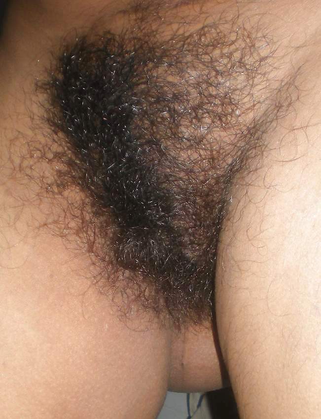 Hairy Indian Pussy  #14934925