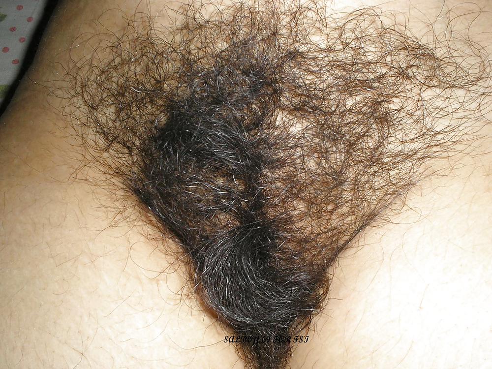 Hairy Indian Pussy  #14935139