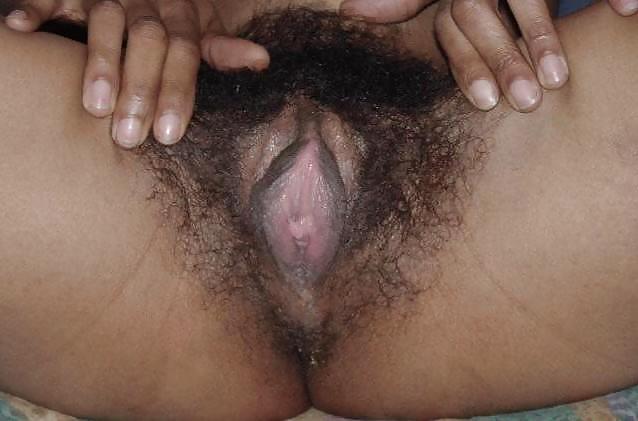 Hairy Indian Pussy  #14935198
