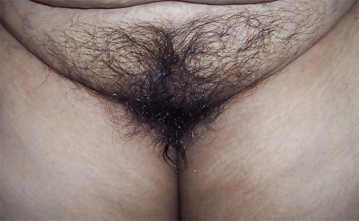 Hairy Indian Pussy  #14935438