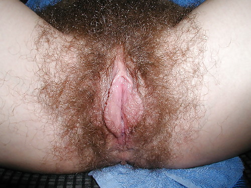 Extremely Hairy Pussies #6966459