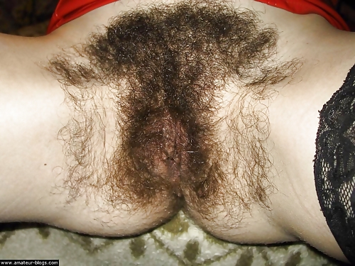 Extremely Hairy Pussies #6966519