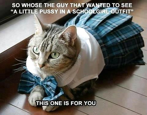 More funnies and thoughts #16158086