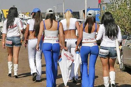 Asses3 #3384986