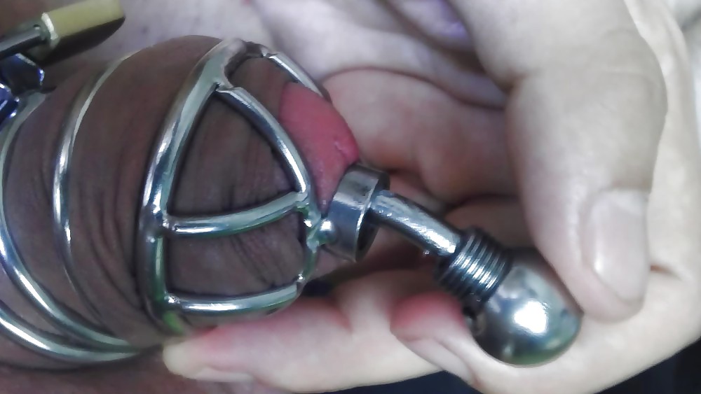 Cuckols Men In Chastity Cock Cages #12327840