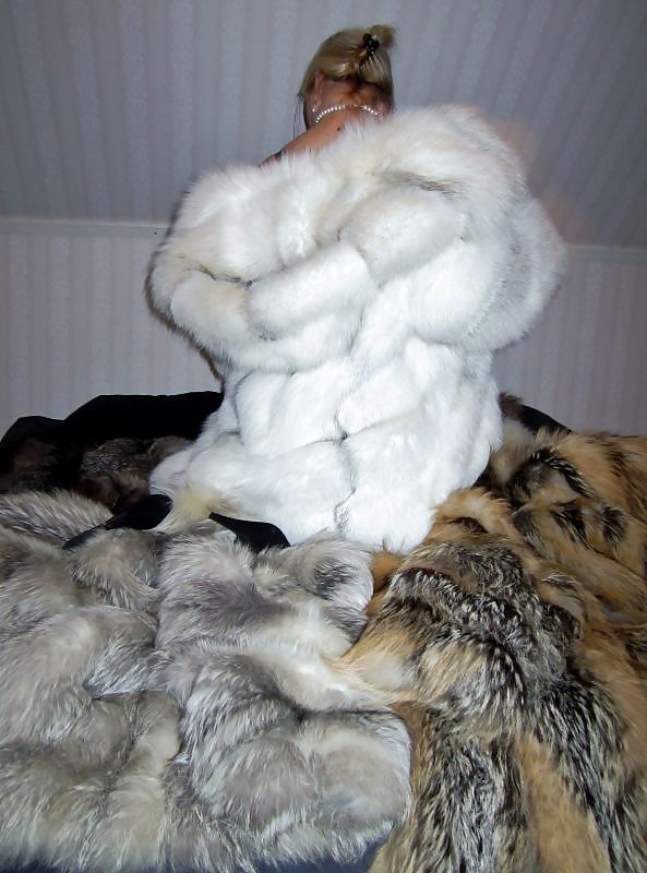 My fur Mistres  #22395444