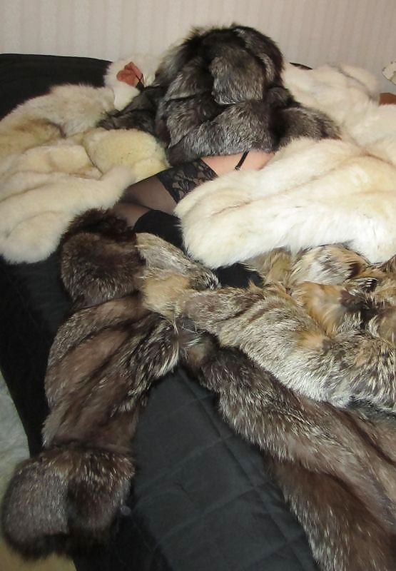 My fur Mistres  #22395562