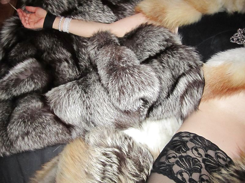 My fur Mistres  #22395570