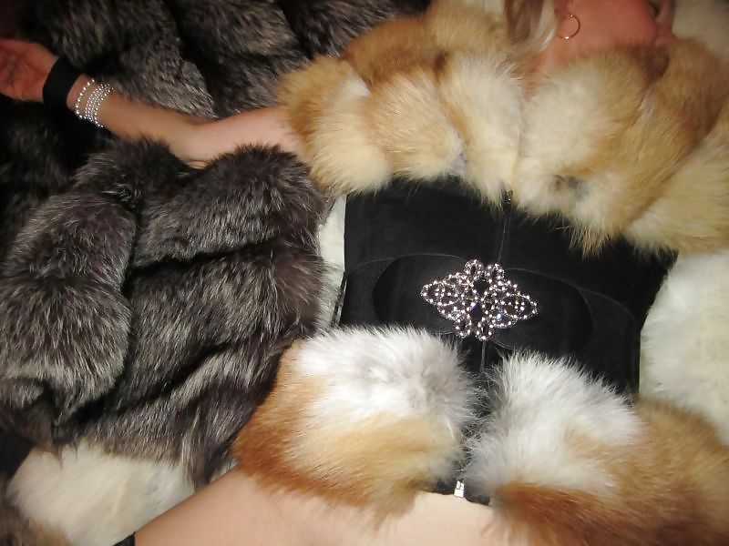 My fur Mistres  #22395573