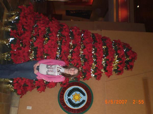 Christmas in Tennessee  #4342502