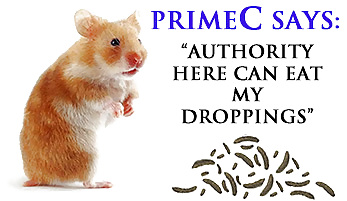 PrimeC goes official #3778383
