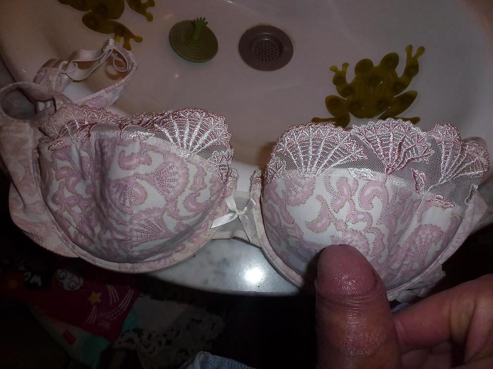 Cum on my Mother in law's bra #21287778