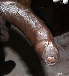 BIG COCKS #21632414