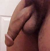 BIG COCKS #21633234