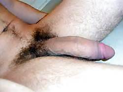BIG COCKS #21633343
