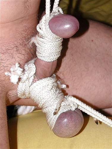CBT #8538268