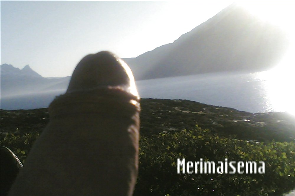 Semmonen #21318182