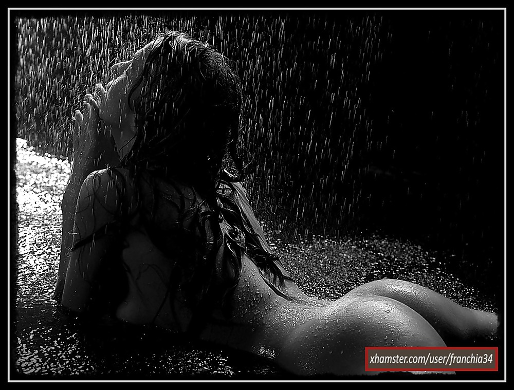 フランキのLUX BW
 #11179042