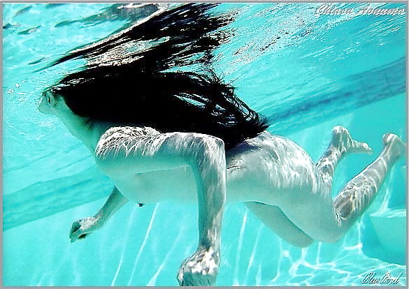 Favorite Mermaids #3811809