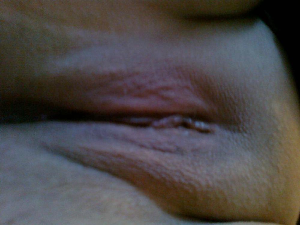 Meine muschi #3702292