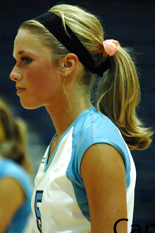 Volleyball-Starlet #4253729