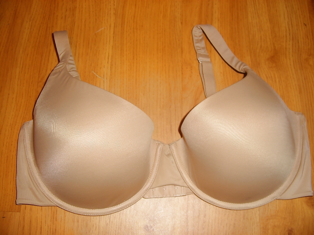 Honeybear's bras shopping #3740502