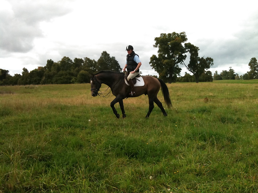 Caballos #9926403