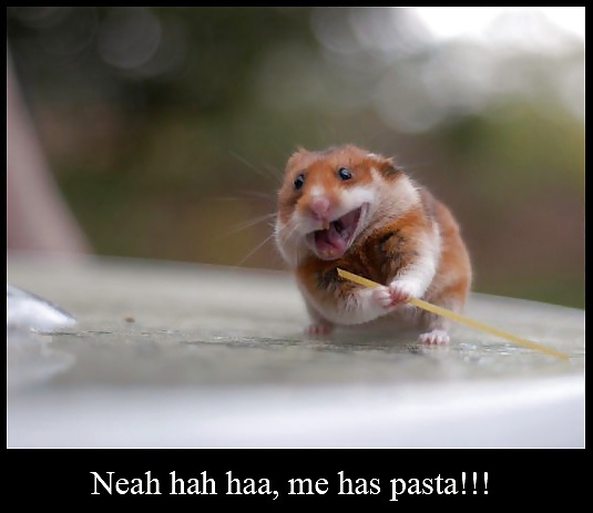 More Hamster Pics #4412323