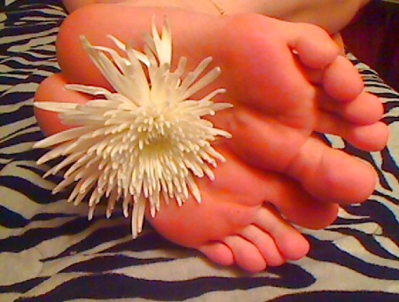 Brigid from openwebcams
 #19635494