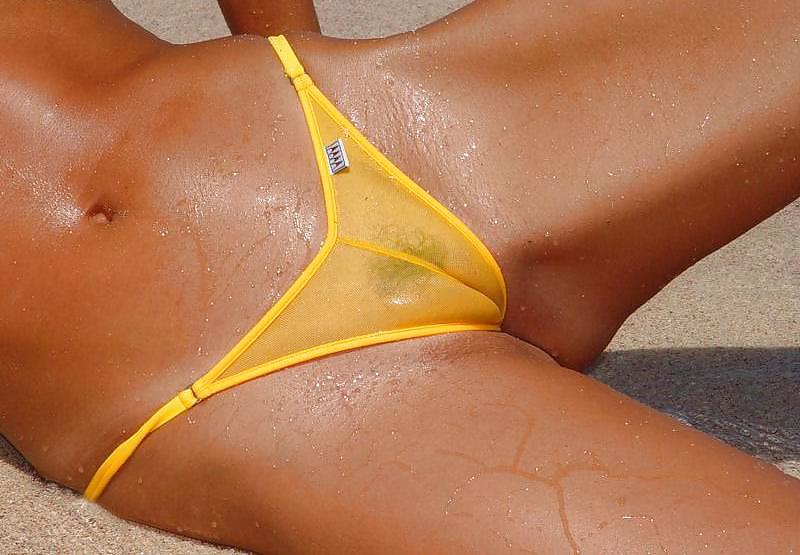 Wicked Weasel, less would be nothing - N. C. 
 #15933908