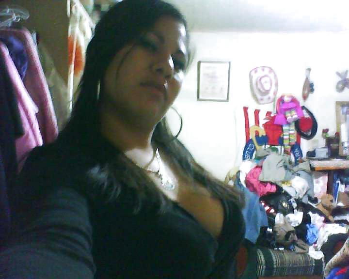 Janet chichona mexicana
 #4878796