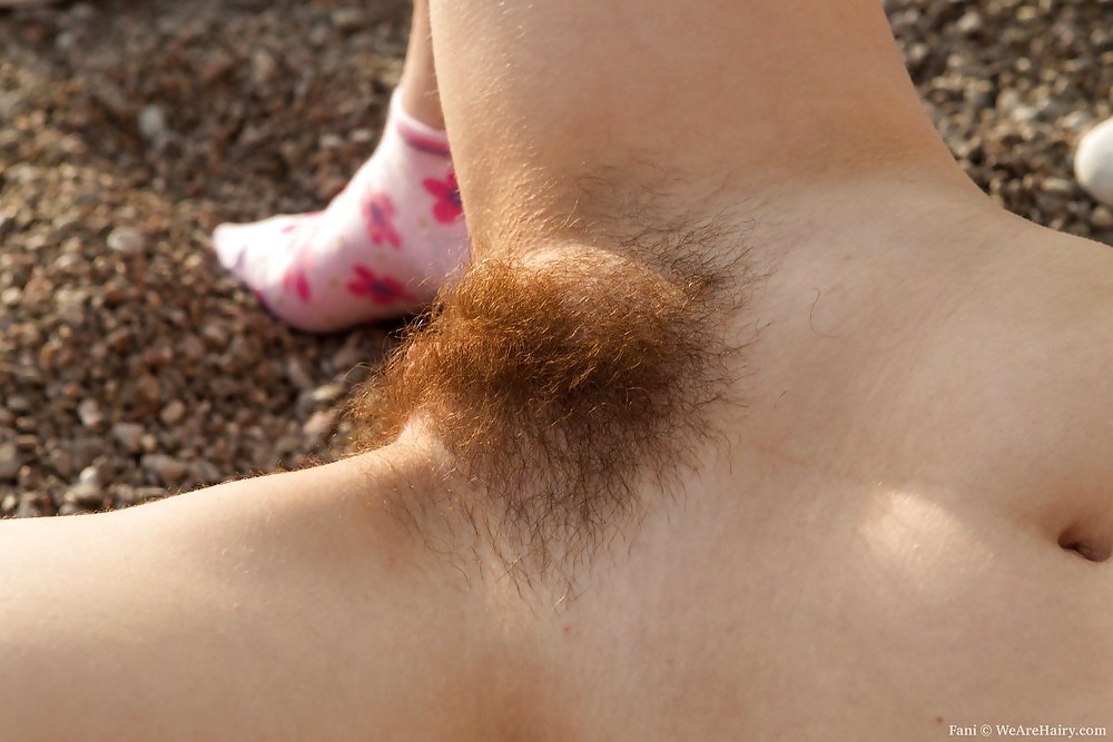 Real hairy pussy 5 #19287221