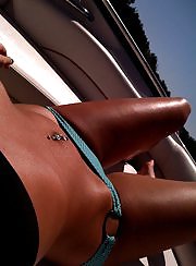 ランダム写真
 #6636197