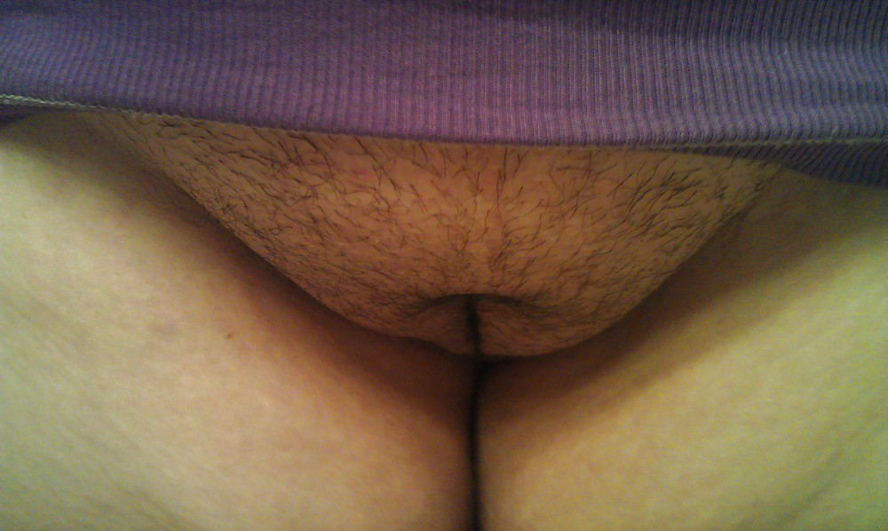 Misc. Chubbies 1 #10661070