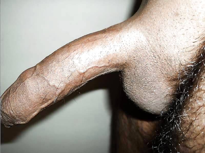 Mein Desi Indian Lund (dick) #20461742