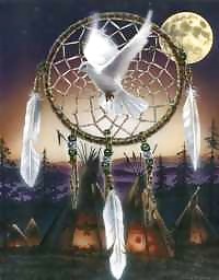 Indians #4042002