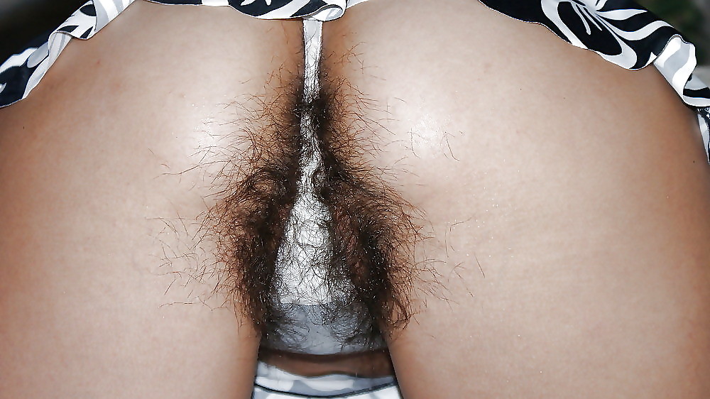 Hairy women in panties #11841387