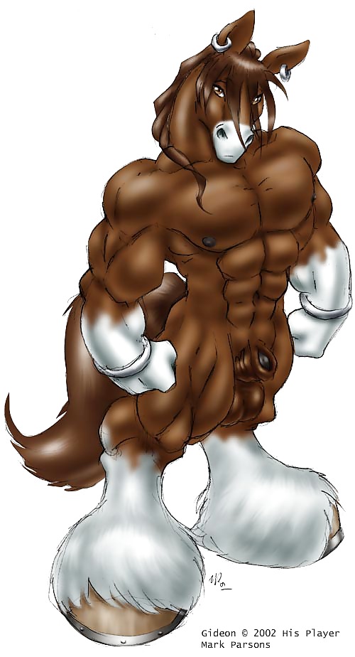 Gideon 2010 #21171301
