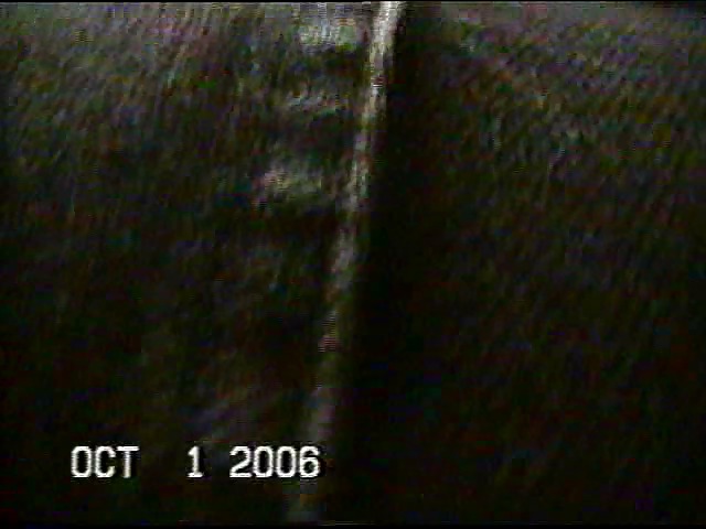 Tomas de botín 2
 #9104846