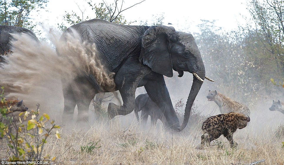 Mi favorita
 #22056132