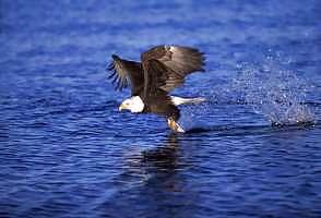 Mi favorita
 #22056157