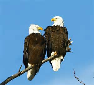 Mi favorita
 #22056331