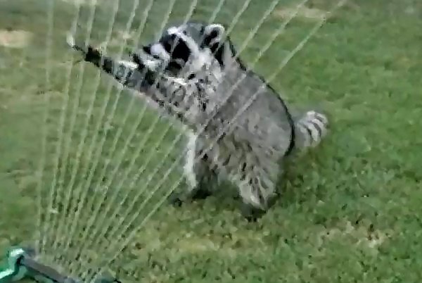 Mi favorita
 #22056374