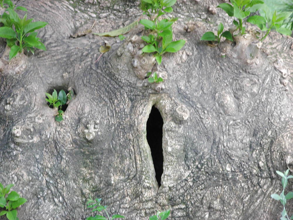 ミラドール
 #10958890