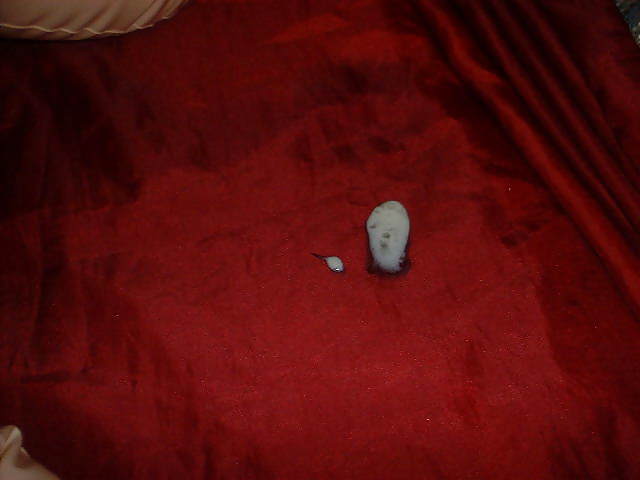 Meine maedelz...
 #22642888